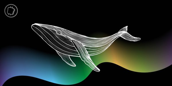 Ethereum : un participant à l'ICO transfère 116 millions de dollars d'ETH 8 ans après