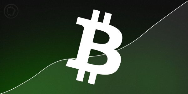 Ce pionnier du Bitcoin voit le BTC à 100 000 dollars avant le prochain halving