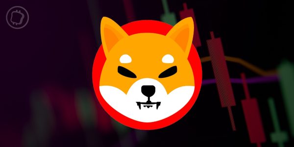 Shiba Inu : lancement raté pour le layer 2 Shibarium – Le cours du SHIB dévisse