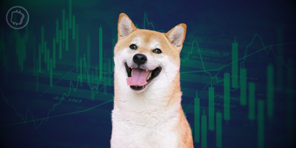 Shiba Inu (SHIB) : réouverture du bridge de Shibarium – Le layer 2 est-il fonctionnel ?