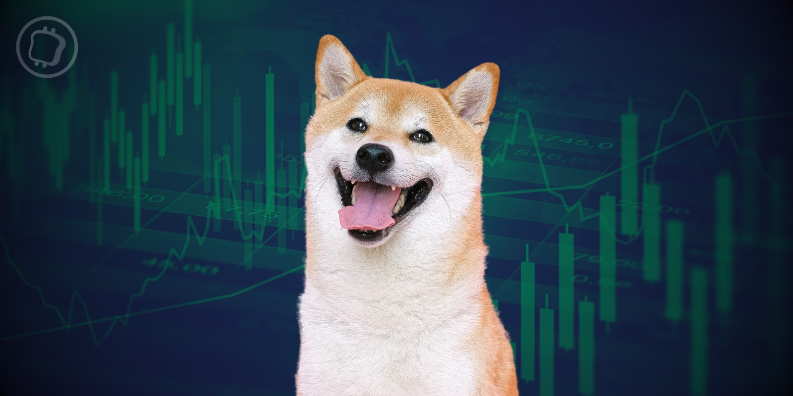 Shiba Inu (SHIB) : réouverture du bridge de Shibarium – Le layer 2 est-il fonctionnel ?