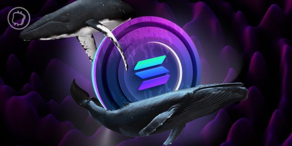 FTX place 122 millions de dollars de tokens Solana (SOL) en staking