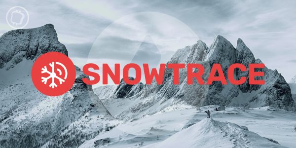 Snowtrace : l’explorateur de blockchain d’Avalanche (AVAX) va fermer ses portes – Un coût d’exploitation trop élevé ?