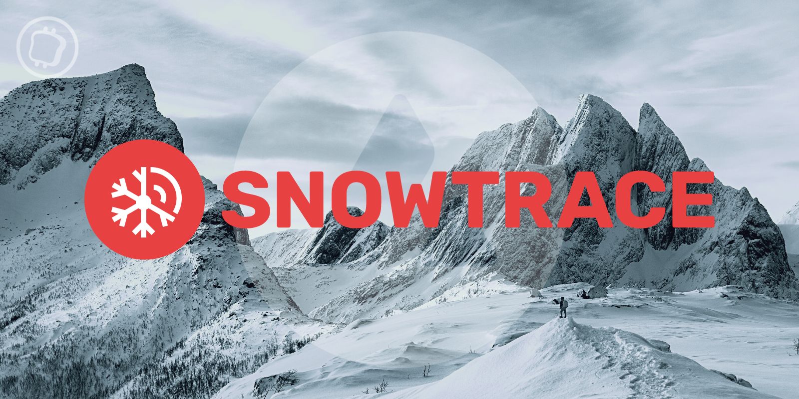 Snowtrace : l’explorateur de blockchain d’Avalanche (AVAX) va fermer ses portes – Un coût d’exploitation trop élevé ?