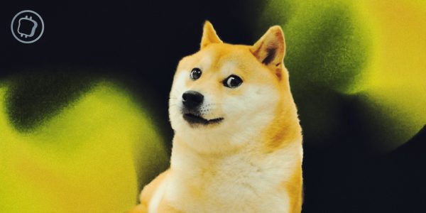 CorgiAI, Bonk, Grok... La saison des memecoins est-elle lancée ?