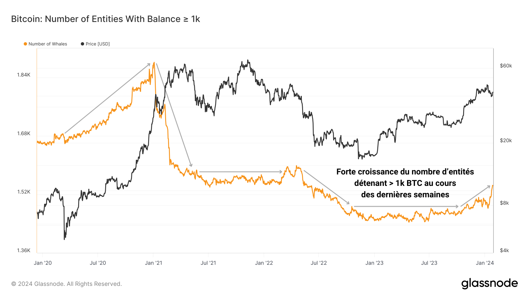 Numebr of Whales 290124 Numebr of Whales 290124