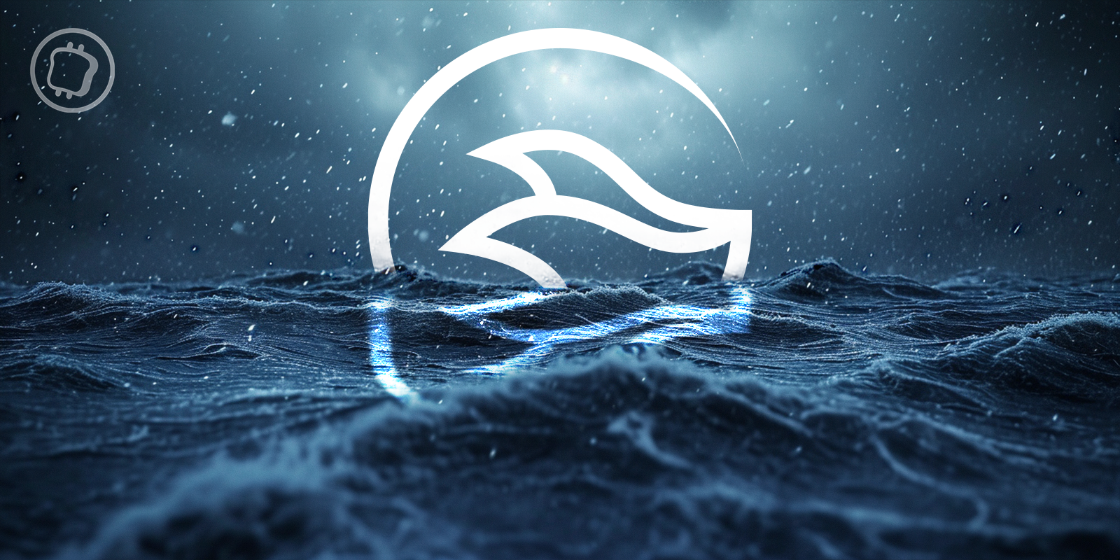 Manta Pacific est maintenant le 4e rollup le plus important devant Base