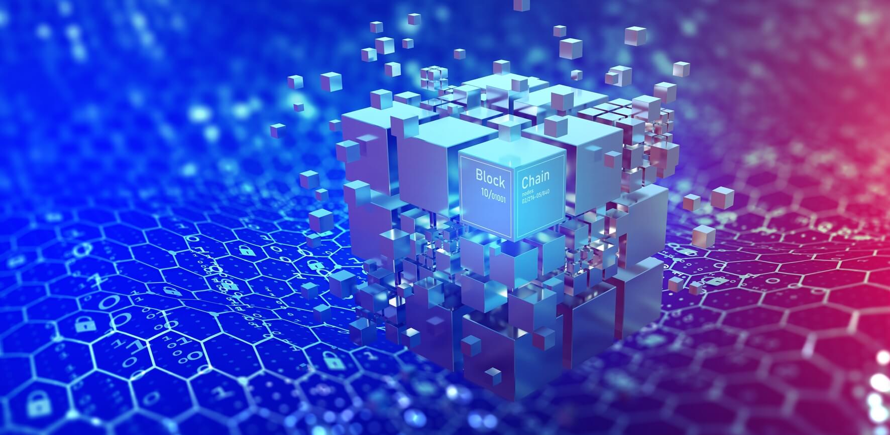 Bloc Blockchain Data Availability Bloc Blockchain Data Availability