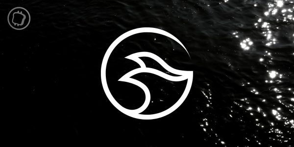 Manta : airdrop critiqué, attaque DDOS et soupçons de blanchiment d'argent