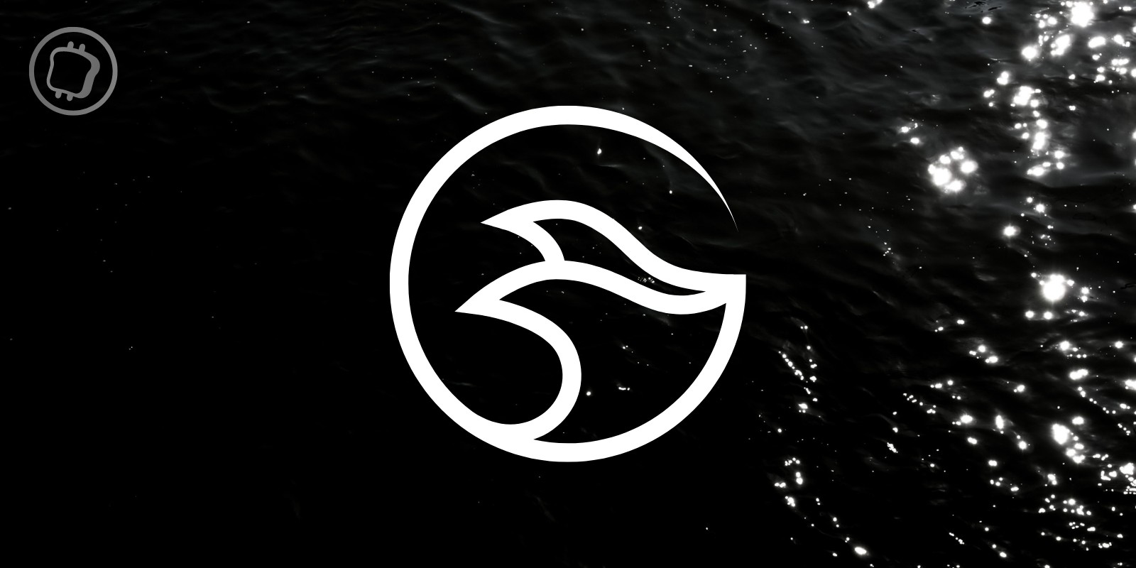 Manta : airdrop critiqué, attaque DDOS et soupçons de blanchiment d'argent