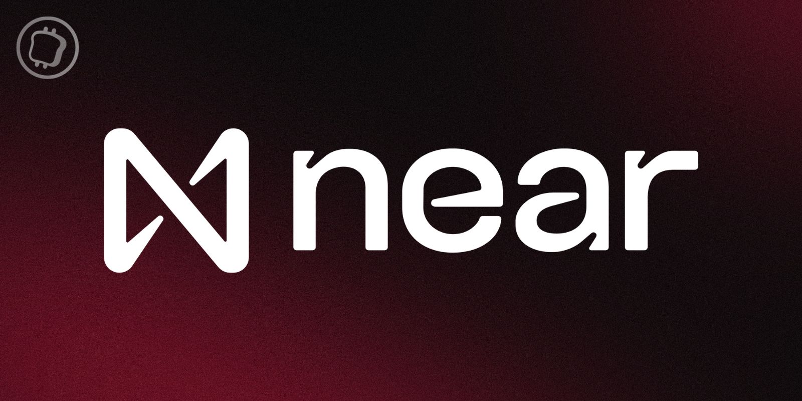 La NEAR Foundation annonce le licenciement de 40 % de ses effectifs
