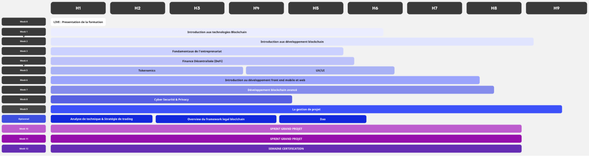 Planning Formation Tech Lead Blockchain Business School