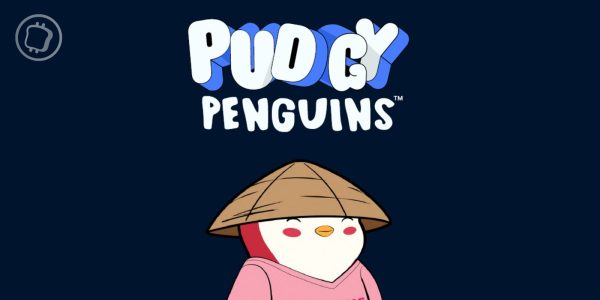 NFT : le floor price de la collection Pudgy Penguins a dépassé celui de l'historique Bored Ape Yacht Club (BAYC)