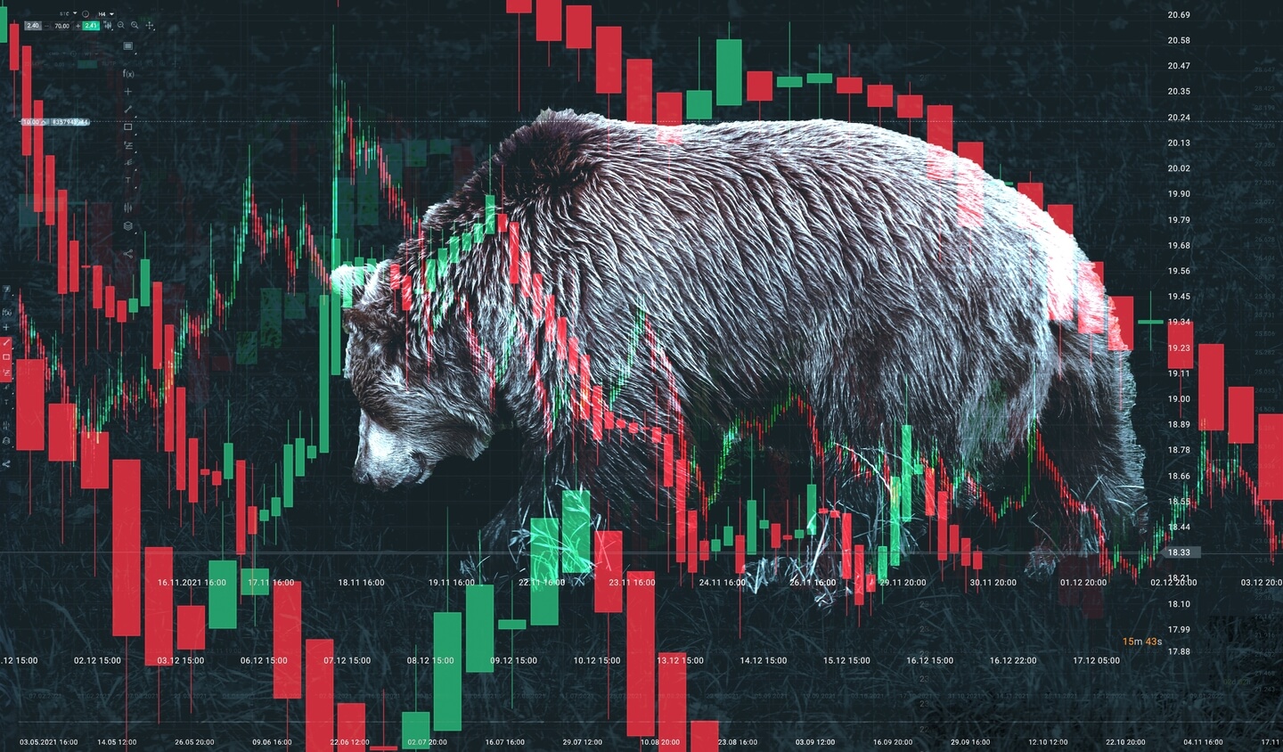 Bear Market Crypto Bear Market Crypto