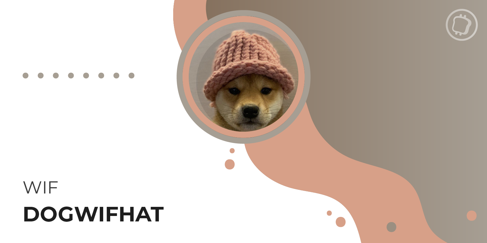 Qu'est-ce que le Dogwifhat (WIF) ? Ce nouveau memecoin de chien qui fait sensation