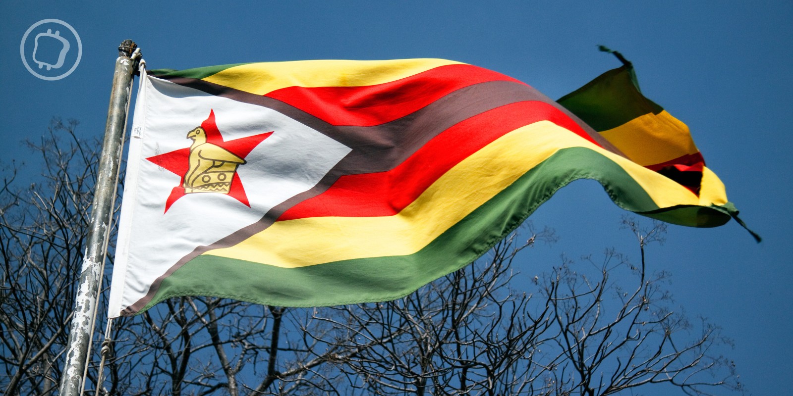 La Banque centrale du Zimbabwe lance officiellement sa monnaie adossée à l'or