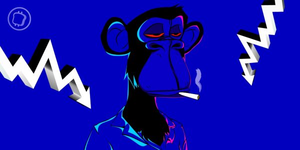 Le prix plancher des NFT du Bored Ape Yacht Club (BAYC) est en baisse de 90 % depuis son ATH