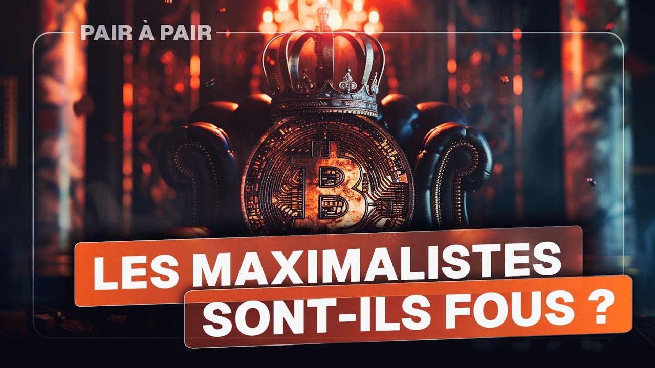 Pourquoi les Bitcoin maximalistes sont-ils fous ? Avec How To Bitcoin