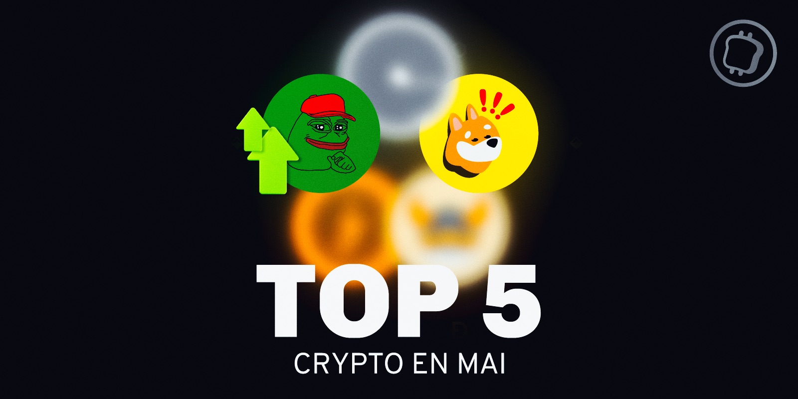 Quelles sont les 5 cryptomonnaies qui ont le mieux performé en mai 2024 ?