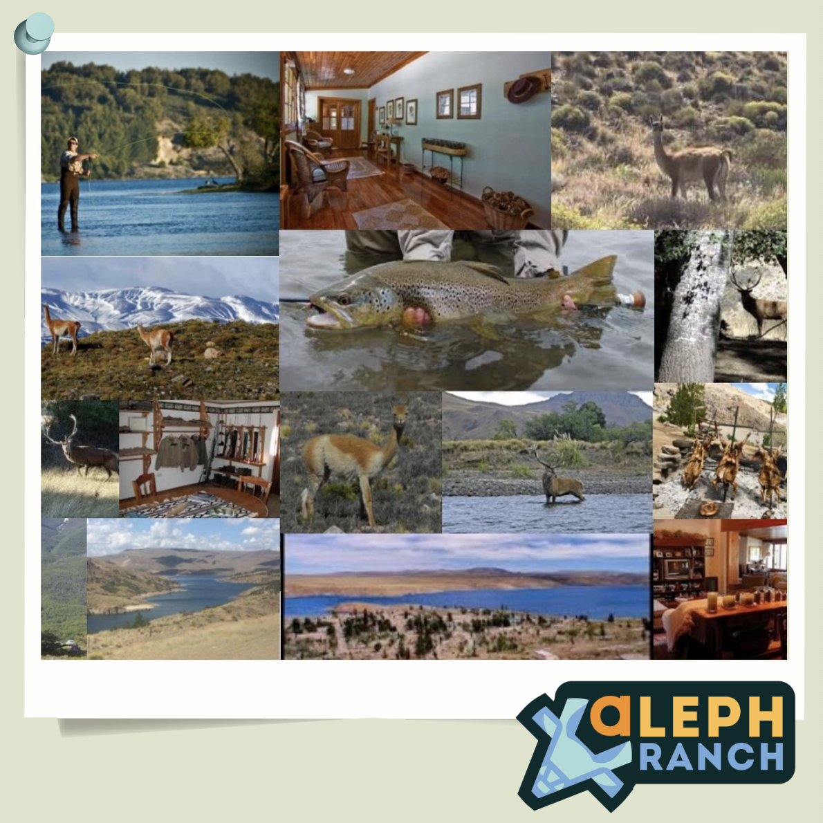 Illustration tirée de la plaquette commerciale « land opportunity » d'Aleph Citadel Illustration tirée de la plaquette commerciale « land opportunity » d'Aleph Citadel