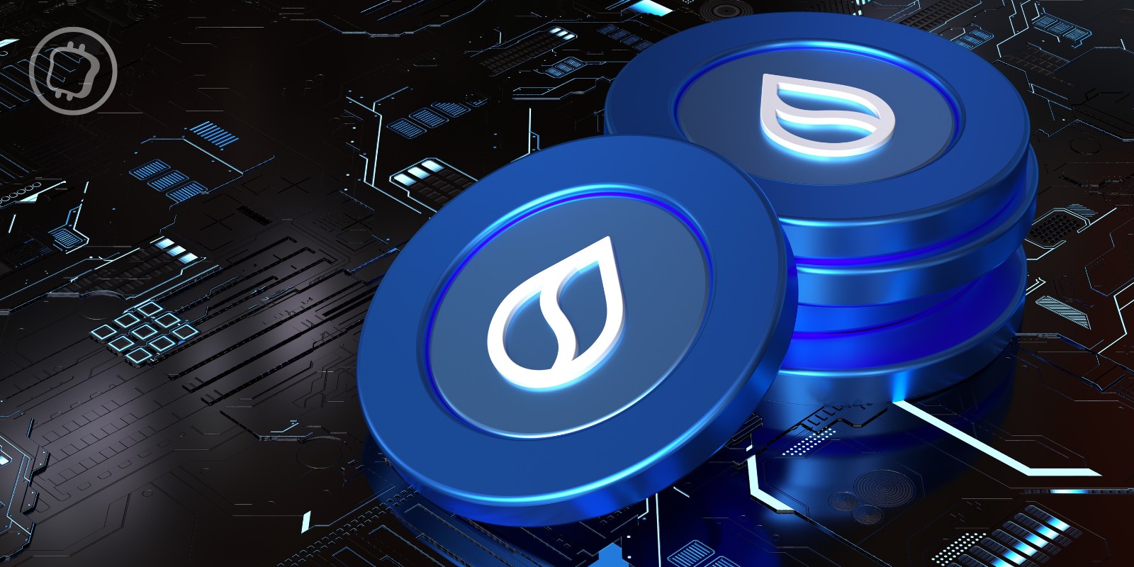 Après 2 heures de panne, la blockchain Sui est de nouveau opérationnelle