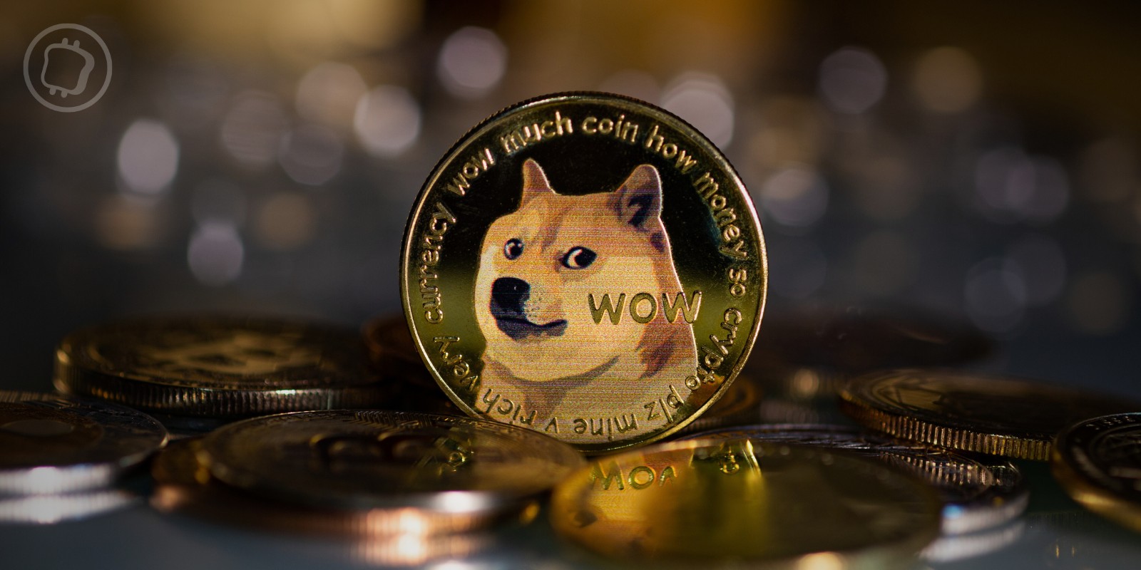 La Dogecoin Foundation lance un appel pour financer l'adoption globale du DOGE par les commerçants