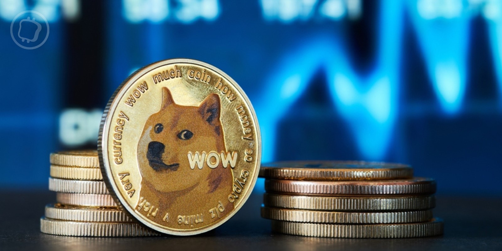 Bientôt un ETF Dogecoin (DOGE) ? Le memecoin préféré d'Elon Musk est en vogue