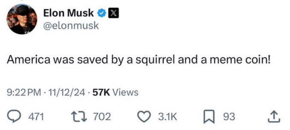 Elon Musk Memecoin PNUT Elon Musk Memecoin PNUT