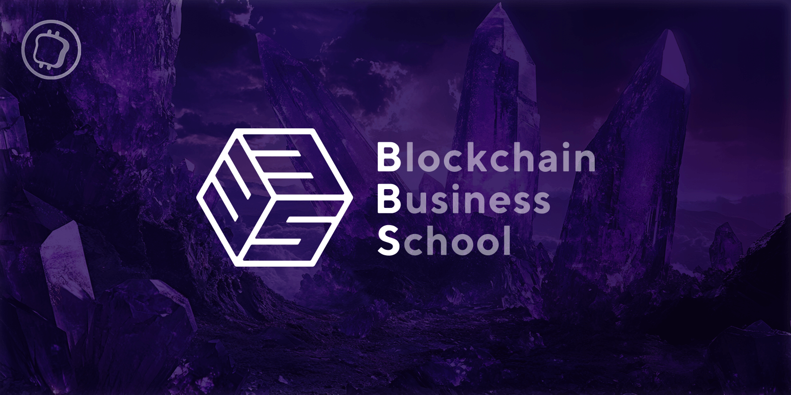 Une formation blockchain sur mesure : c'est désormais possible avec la Blockchain Business School