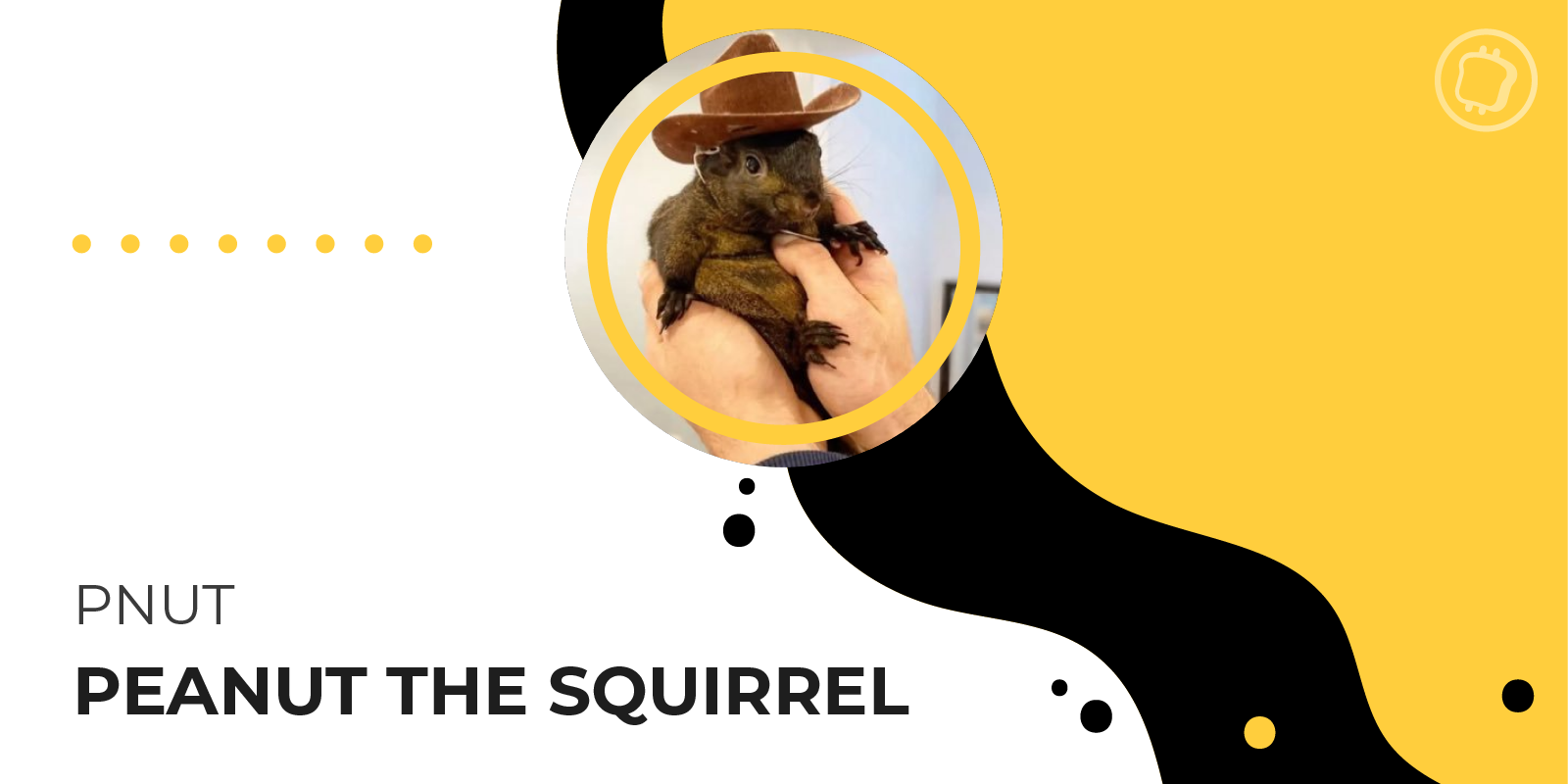 Qu'est-ce que Peanut the Squirrel (PNUT), ce meme coin né d'une histoire tragique ?