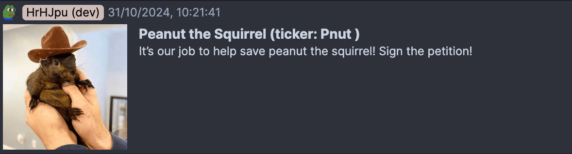 Meme coin PNUT Pump.fun Meme coin PNUT Pump.fun