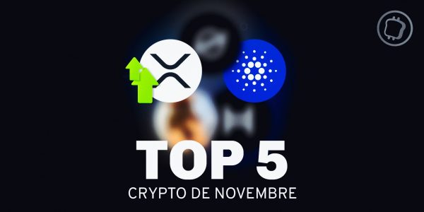 Quelles sont les 5 cryptomonnaies qui profitent le plus de ce début de bull run ?