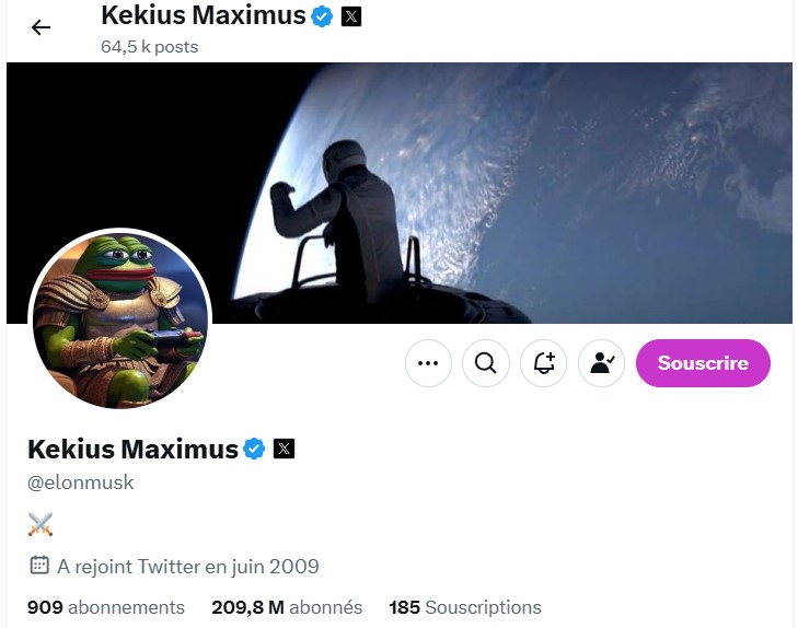 Profil X d'Elon Musk Profil X d'Elon Musk