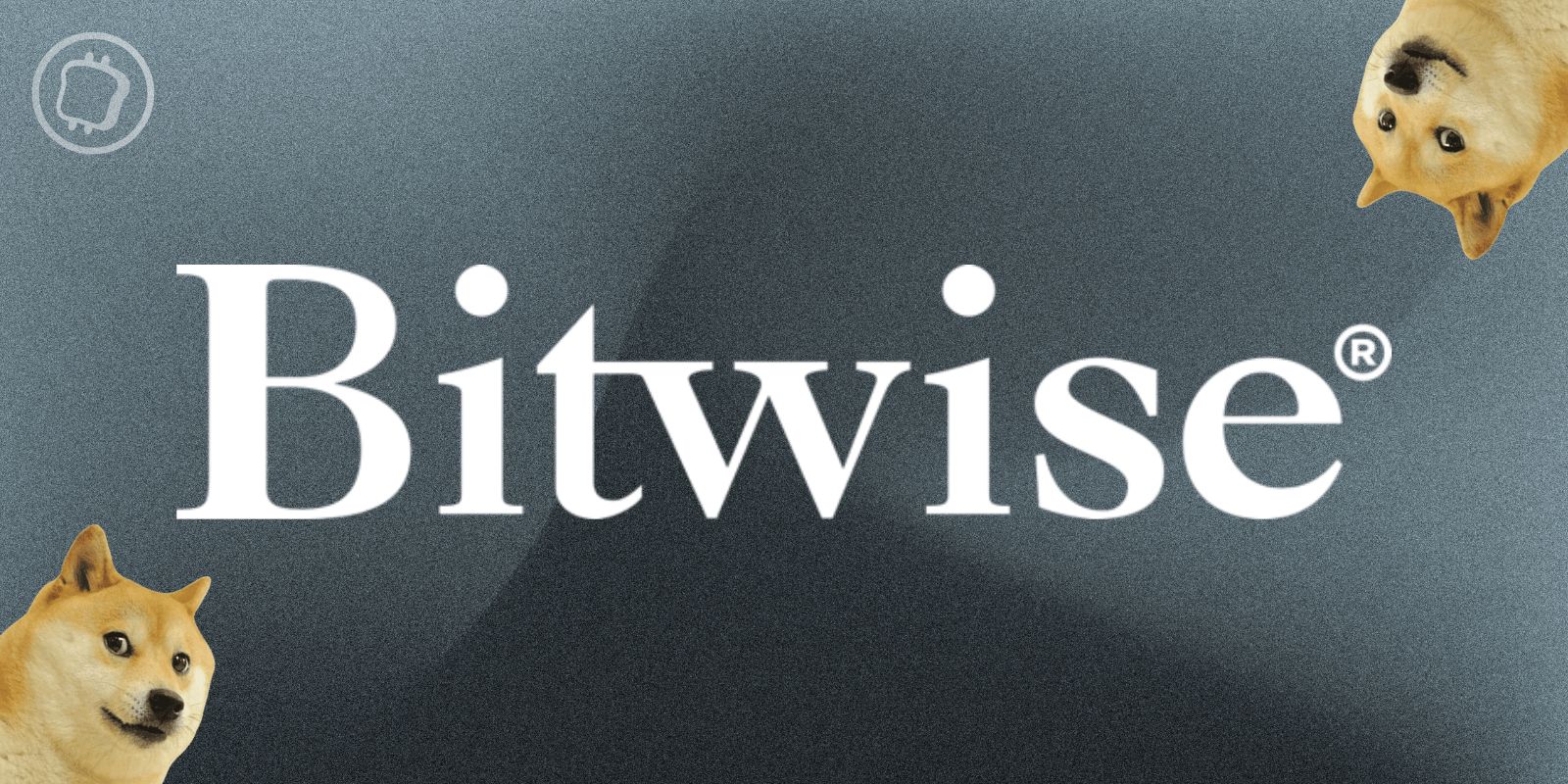 Bitwise dépose sa demande pour un ETF sur le Dogecoin (DOGE)