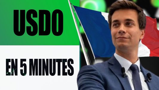 Usual : quand un ancien député français lance un stablecoin