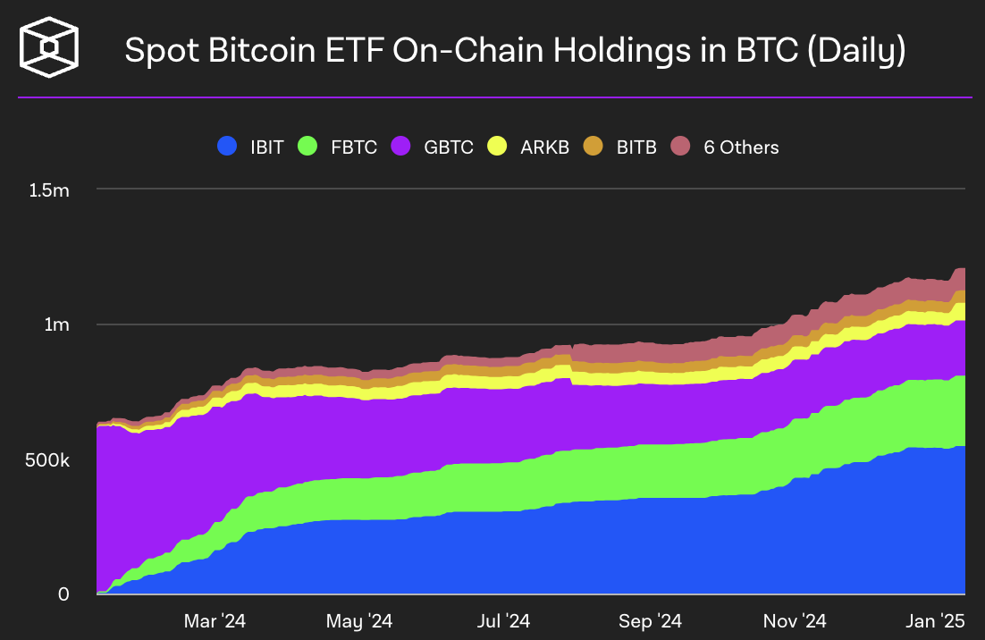 etf-bitcoin-aum-2024 etf-bitcoin-aum-2024