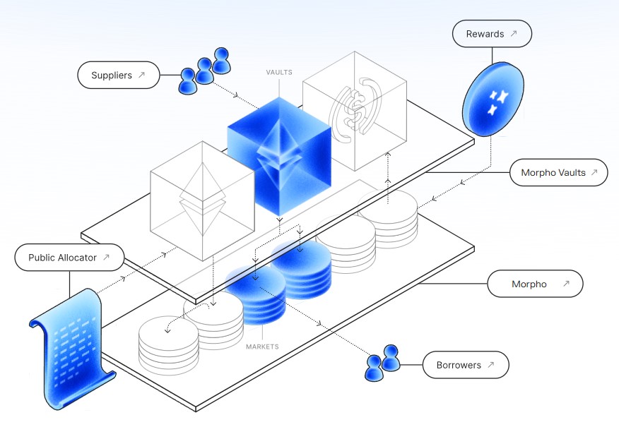 Morpho Écosystème Morpho Écosystème