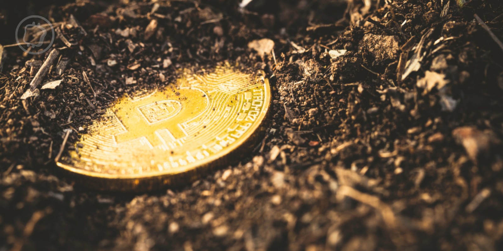 Des Bitcoins d'une valeur de 5 millions de dollars, immobiles depuis 15 ans, se réveillent