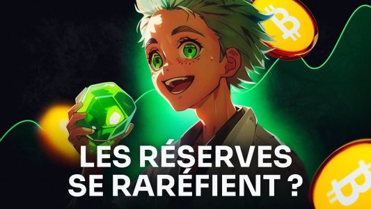 Les réserves des exchanges s’effondrent ! Que faut-il anticiper ? Analyse du Prof. Chaîne
