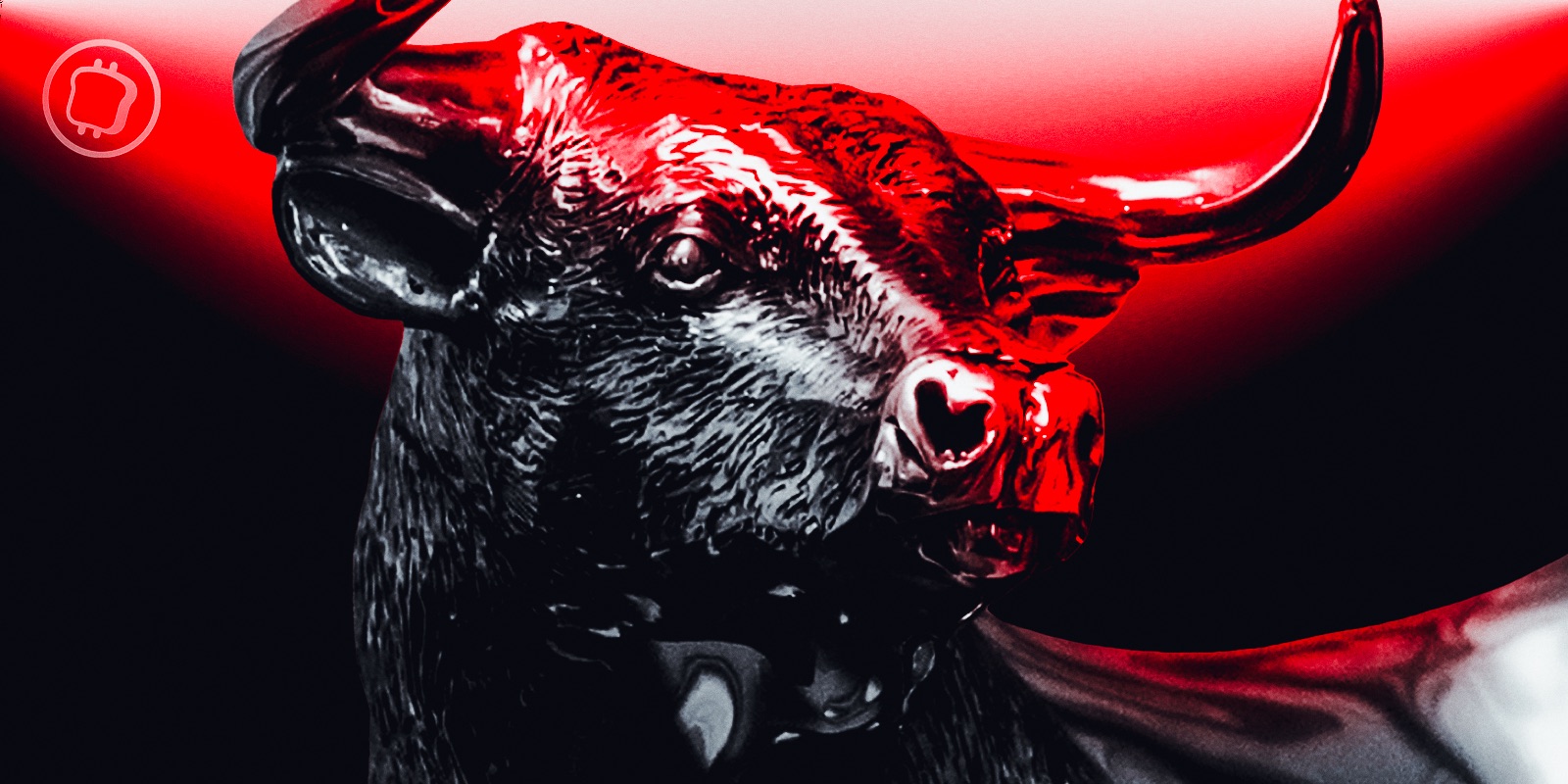 Quelles sont ces 3 blockchains qui continuent de grimper malgré un marché crypto dégradé ?