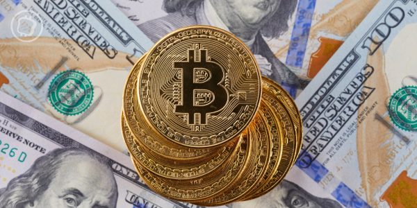 « Si j'avais conservé mes bitcoins, j'aurais fait mieux qu'en investissant en start-up » : la leçon d'un pionnier de la crypto