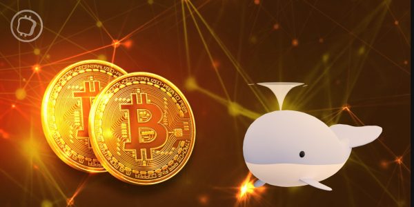 Une whale transfère presque 5 millions de dollars de bitcoins minés il y a 15 ans