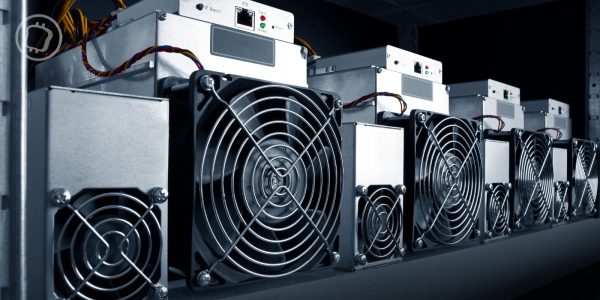 Le prix du Bitcoin chute, mais son hashrate explose : les mineurs foncent-ils droit dans le mur ?