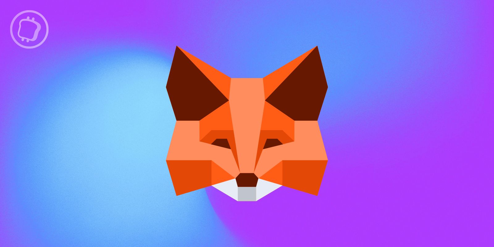 La blockchain de Solana (SOL) arrivera-t-elle sur MetaMask ce mois de mai ?