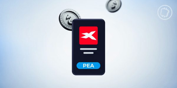 Avis PEA XTB : La meilleure option pour investir en Bourse ?