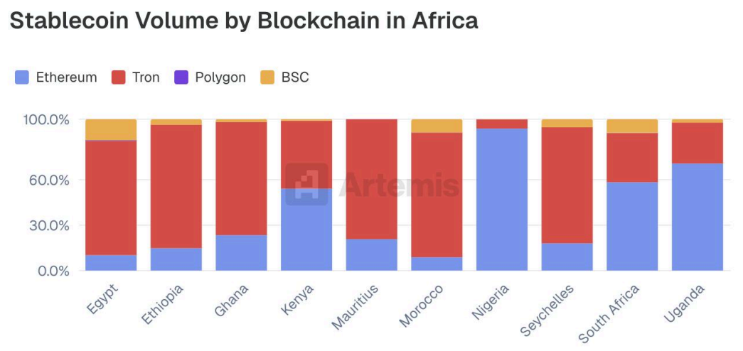 Graphique représentant les volumes de stablecoins par blockchain pour les pays d'Afrique Graphique représentant les volumes de stablecoins par blockchain pour les pays d'Afrique