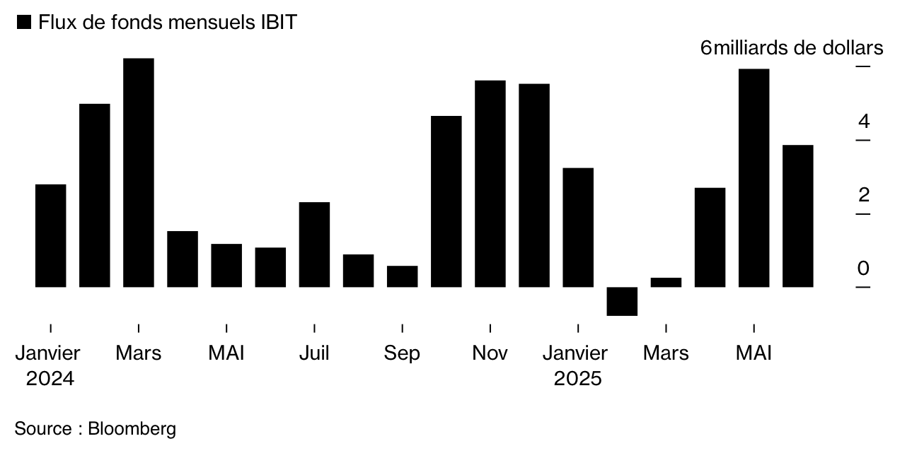 Bitcoin : L'ETF spot IBIT de BlackRock est plus rentable que son fonds S&P 500 Bitcoin : L'ETF spot IBIT de BlackRock est plus rentable que son fonds S&P 500