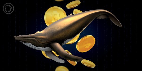 Une nouvelle whale se réveille et transfère 1,25 milliard de dollars en Bitcoins (BTC)