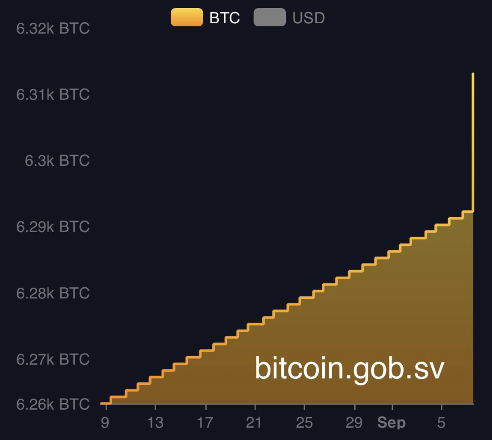 Salvador : un achat symbolique de 21 BTC Salvador : un achat symbolique de 21 BTC