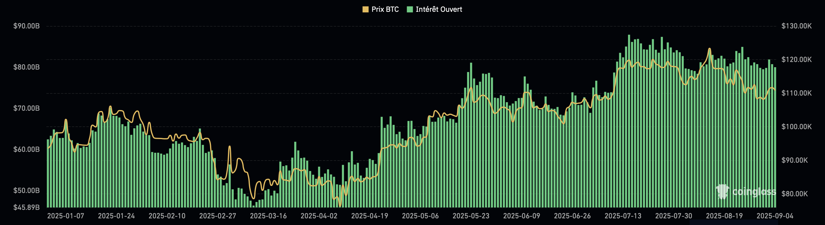 Intérêt ouvert sur le marché du Bitcoin Intérêt ouvert sur le marché du Bitcoin